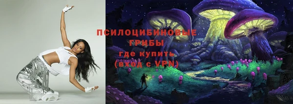 прущая мука Гусев