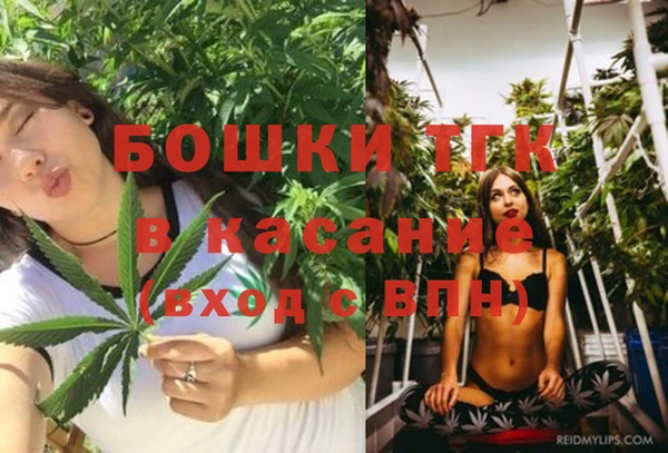прущая мука Гусев