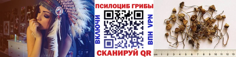 Псилоцибиновые грибы Cubensis Нижнеудинск